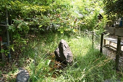 20110704-1.jpg