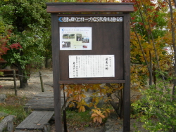 20101117-2.JPG