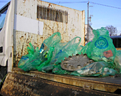 20100204-3.jpg