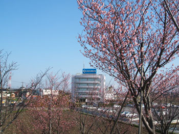 20100311-1.jpg