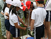 201005025-2.jpg