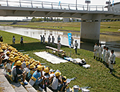 20130523-2.jpg